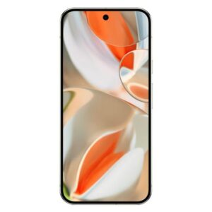 Google Pixel 9 Pro XL